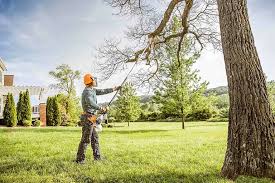 Best Commercial Tree Services  in Goldendale, WA