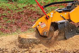 Best Lot and Land Clearing  in Goldendale, WA