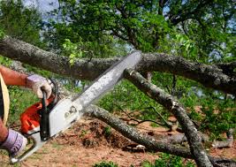 Best Emergency Tree Removal  in Goldendale, WA
